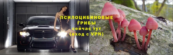 гидропоника Покровск